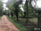 Gampaha City Limits Land for Sale ( RLS - 739)