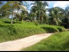 Gampaha - Coconut Estate for sale