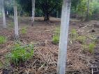 Gampaha Land for Sale