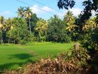 Gampaha - Delgoda town paddy field facing land for sale