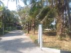 Gampaha Highly Residential Land Plots For Sale Near Miriswatte Junction