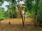 Gampaha imbulgoda Quality land for sale