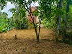 Gampaha imbulgoda quality land for sale