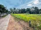 Gampaha Kalagedihena Valuable Land for Sale Just 800m from Kandy Road