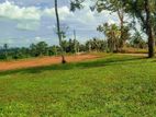 Gampaha - Kirindiwela Land for sale