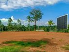 Gampaha - Kirindiwela Land for sale