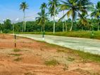 Gampaha - Kirindiwela Land for sale