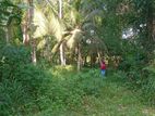 Gampaha Land for Sale