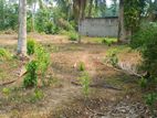 Gampaha Land for Sale