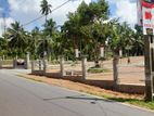 Gampaha Land for Sale