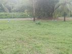 Gampaha Land for Sale