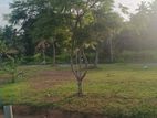 Gampaha Land /House For Sale