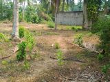 Gampaha Miriswatte 6.5P Land for Sale (ගම්පහ මිරිස්වත්ත පර්චස් 6.5)