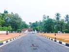 Gampaha - Oruthota Land For sale