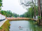 Gampaha - Oruthota land For sale