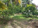 Gampaha Land for Sale