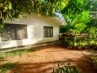 Gampaha Singel Story House for Sale (Ref:H2189)