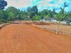 Gampaha උඩුගම්පොලින් බස් පාරට අතේ දුරින් වටිනා බිම්කොටසක් විකිණීමට