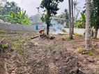 GAMPAHA UDUGAMPOLA LAND FOR SALE