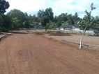 Gampaha udugampola land sale
