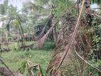 Gampaha Veyangoda Dadagamuwa Wewa Para Land