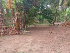 Gampaha- Wathurugama Land for Sale (SSPL-273)