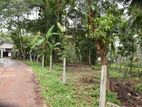 Gampaha Weliweriya Land for Sale with Old House