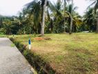 Gampaha - Yakkala Land for Sale