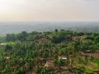 Gampha 12 Acres Land for Sale 30km to Colombo