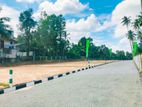Gampha Veyangoda Land for Sale