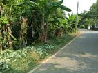 Ganemulla: 15P Highly Residential Land for Sale
