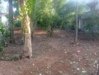 Ganemulla : 16.3 P Highly Residential Land for Sale