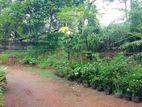 Ganemulla : 46P Highly Residential Land for Sale