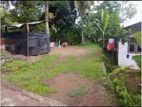 Ganemulla, Dutugemunu Mawatha 11 Perches of land for Immediate Sale
