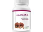 Ganoderma Suppliment | ගැනඩර්මා සප්ලිමන්ට්