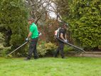 Garden Cleaning and Tree Cutting