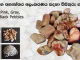 Garden Decorative Chips / Pebbles ( විසිතුරු ගල් වර්ග )