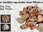 Garden Decorative Chips / Pebbles ( විසිතුරු ගල් වර්ග )