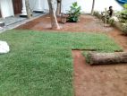 Garden Designs and Landscaping