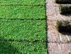 Garden Grass with interlock paving