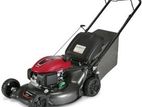 Petrol Lawn Mower /Grass Cutter