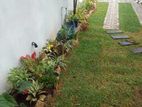 Garden Interlock Service