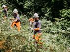 Land Cleaning Service