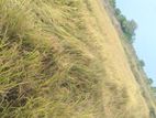 Land for Sale Batticaloa