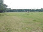 Garden Land for Sale In Poonagari, Thambirai