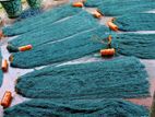 Raw Net