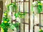 Garden Service - Bandaragama