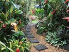 Garden Service - Hakmana