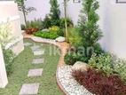 Garden Service - Homagama