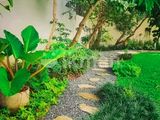 Garden Service - Homagama